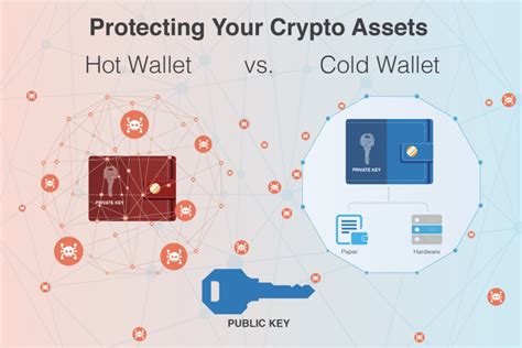 Cold wallet, Price Volatility, NEO (NEO)
